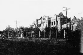 胡真一手握双枪怒喝：男人都出去，俺现在脱衣服，看俺是不是女的图片