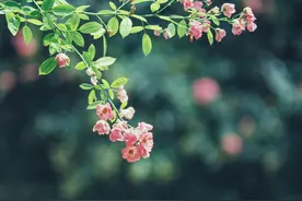 出生的“时间”，决定了你这辈子的命运，多数人都不懂。图片