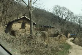 农村老实人能活得多悲哀？图片