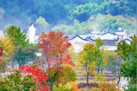 讲真！湖北的秋天是彩虹色图片