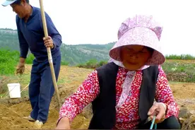 花生播后易遭鸟类刨食，老农传授3个妙招，可迫使鸟类远离农田图片