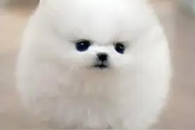寝室规则图片