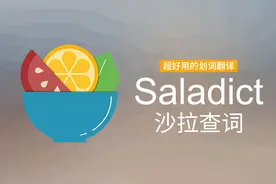 使用分享丨 超好用的翻译插件：沙拉查词图片