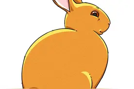 兔子的特点是以德服人图片