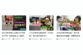 有六百万人，沉迷在B站上看“抓小偷”图片