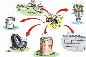 【北京疾控提醒您】北京进入蚊虫密度高峰季，灭蚊虫，清理幼虫孳生地很重要图片