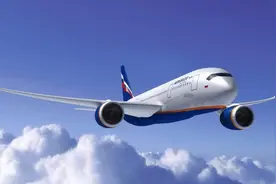 原来这些东西可以带上飞机！别再傻乎乎地扔掉了图片