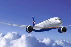 原来这些东西可以带上飞机！别再傻乎乎地扔掉了图片