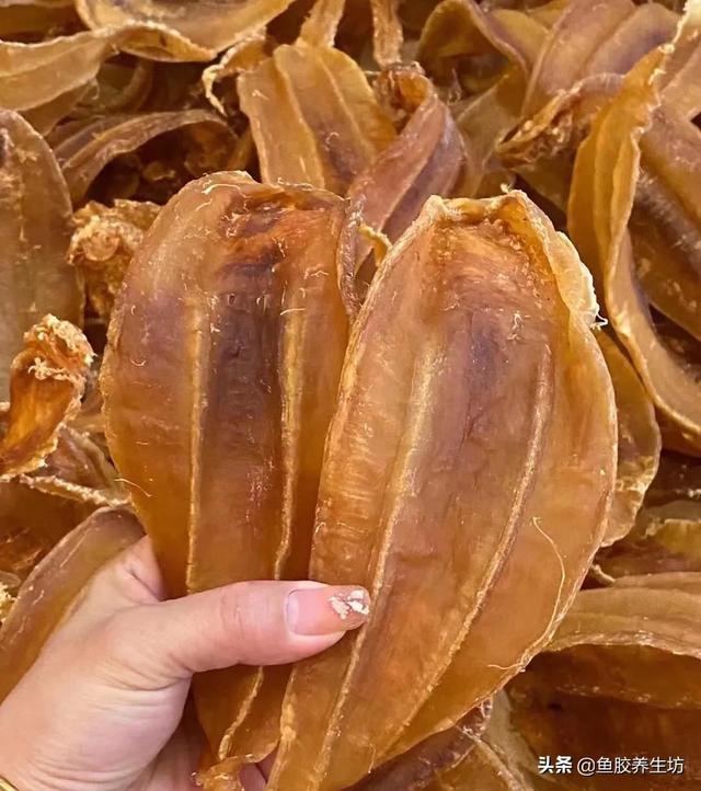 澳大利亚的花胶好吗 2026年澳洲买花胶便宜吗