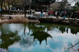 境取自然，平淡醉美——拙政园图片