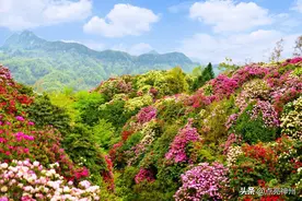 贵州最值得游的5个AAAAA级景区，全都是世界级景点，你去过几个？图片