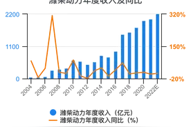 一次看完潍柴动力财务分析2023-03图片