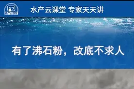#沸石粉  #改底 有了沸石粉，改底不求人 @抖音短视频  @蟹人蟹事