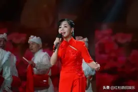 《星光大道》唯一有资格参加文代会的歌手王二妮，她的成功凭什么图片