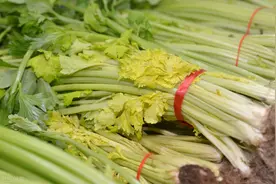 再探陕西“芹菜”案：不能因为是小微主体，就在法律之外进行呵护图片