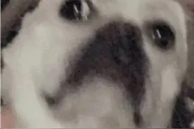 别再用了！原来这些韩语脏话不只是字面意思那么简单！图片