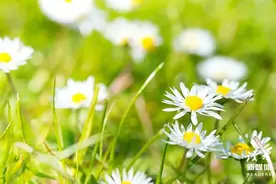 给你前行路上的9条建议，深刻务实图片