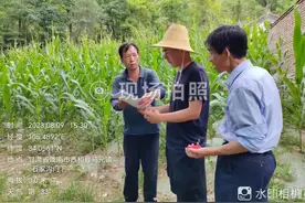 马元镇扎实开展“三类户”及新型农业经营主体种养产业奖补验收工作图片