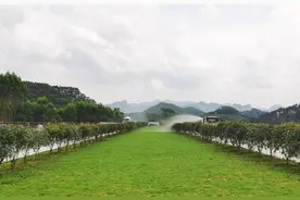 巴平高速打造绿色生态和谐之路图片