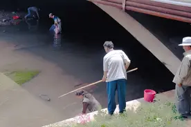 快要消失的6种河鲜，以前没人重视，如今想吃靠运气，你家乡有吗图片