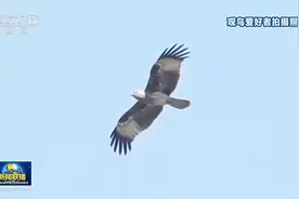 北京森林覆盖率达44.8%，城市绿化覆盖率达49.3%图片