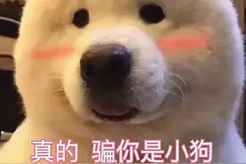 3k-4k手机推荐，水桶机旗舰用三年不过时，预算刚刚好不花冤枉钱图片