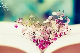 人生没有无缘无故的缘份和相遇，一个人和谁结婚真是命中注定吗？图片