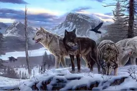 头狼的命根子被人攥在手里图片