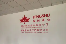 苔米丨生命数字密码图片