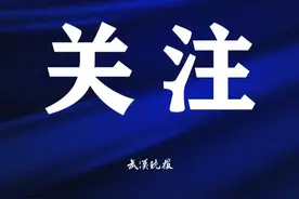 武汉地铁最新消息！8号、15号、17号、18号、28号……总有一条你关心的图片