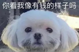 表情包：你看我长得像有钱的样子吗？图片