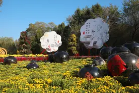 沈阳世博园第二十二届金秋菊花展 升级版儿童乐园与游艺桥邀您纵享欢乐时光图片