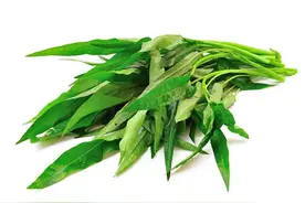 空心菜是"万毒之王"，重金属超标还致癌？这4种蔬菜才真的要少吃图片