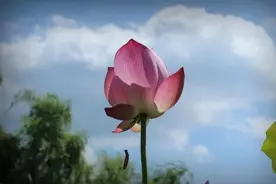 想要害你的人，多半会露出这3种痕迹图片