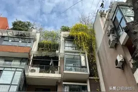 住了4年2楼，我太崩溃了！痛定思痛，再买房，绝对不考虑低层了！图片