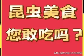 十种不被待见的昆虫，如今成了特色美食，想吃它们还需要勇气图片