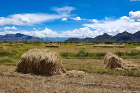 生产队那个年代（五十二）—童年趣事：挖田鼠图片