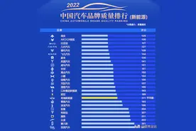 中国新能源汽车质量排行榜出炉 比亚迪位列第3 特斯拉排名22图片