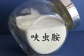详解新烟碱类卫生杀虫剂-呋虫胺图片