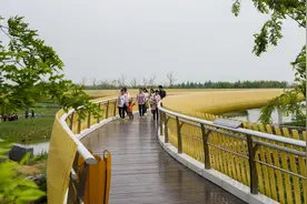 宿迁市6月乡镇（街道）空气质量排名图片