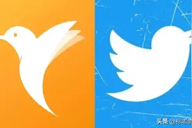 鸟把鸟告了的结果出炉，蓝鸟胜诉图片