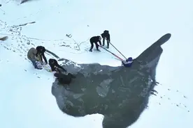 救人勇士“黑衣男”找到了！他是长春一家企业经理图片