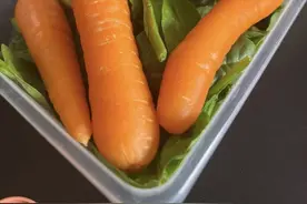 “白人饭”外网火出圈！网友吐槽各国午餐，老外羡慕中餐热乎好吃图片