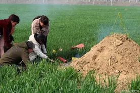 2023严格执行3不准治理农村坟墓乱象，农村豪华墓、活人墓一律拆图片