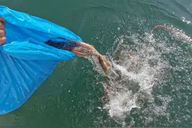 端午前夕，这项祈福活动也是有讲究的！图片