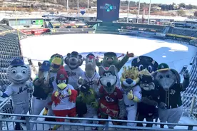 「MLB吉祥物」美联东区吉祥物大盘点图片