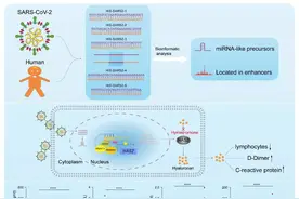 科研速递 | 复旦上医2022年2月科研成果一览图片