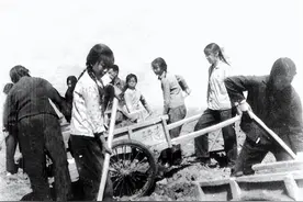 一首《知青之歌》作者竟被判死刑，许世友救他一命图片