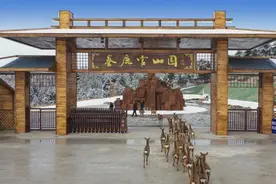 观长白丨长白山尾有“鹿乡”图片