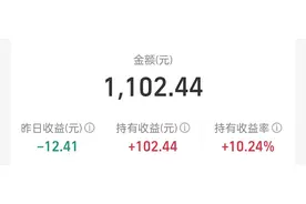 支付宝理财4个月收益10%图片